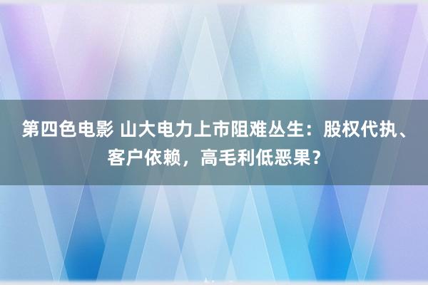 第四色电影 山大电力上市阻难丛生：股权代执、客户依赖，高毛利低恶果？