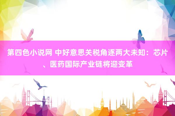 第四色小说网 中好意思关税角逐两大未知：芯片、医药国际产业链将迎变革