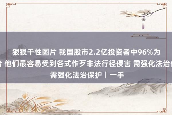 狠狠干性图片 我国股市2.2亿投资者中96%为中小投资者 他们最容易受到各式作歹非法行径侵害 需强化法治保护丨一手