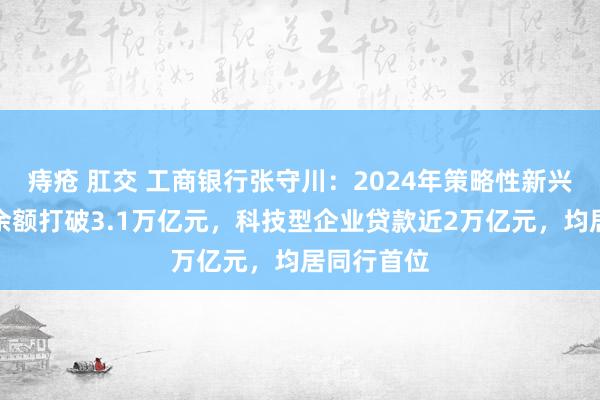 痔疮 肛交 工商银行张守川：2024年策略性新兴产业贷款余额打破3.1万亿元，科技型企业贷款近2万亿元，均居同行首位