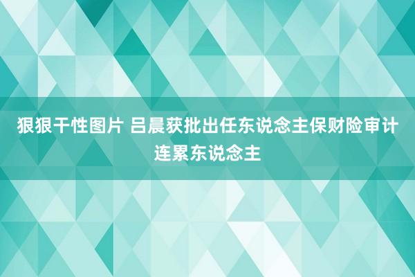 狠狠干性图片 吕晨获批出任东说念主保财险审计连累东说念主
