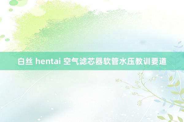 白丝 hentai 空气滤芯器软管水压教训要道